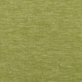 Celery