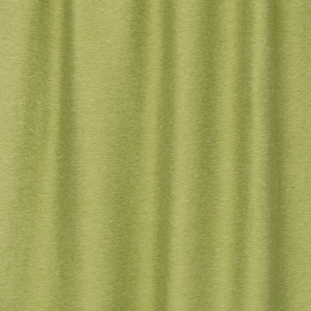 Celery
