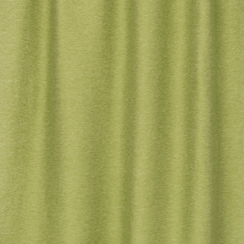 Celery