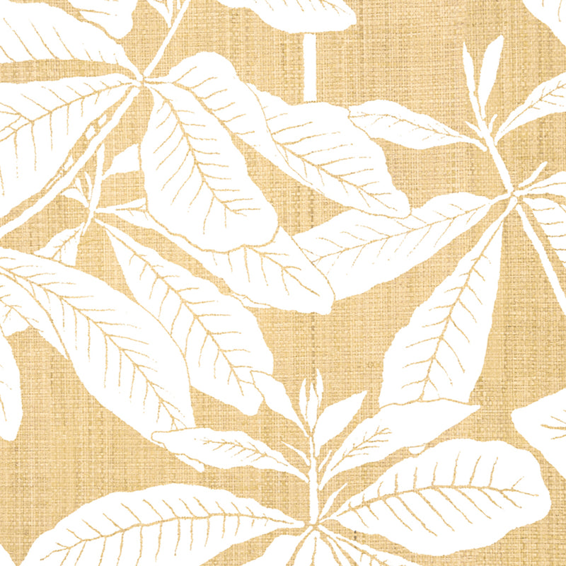 Foglia - Madagascar (Wallpaper Memo)