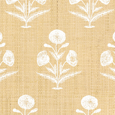 Papavero - Madagascar (Wallpaper Memo)