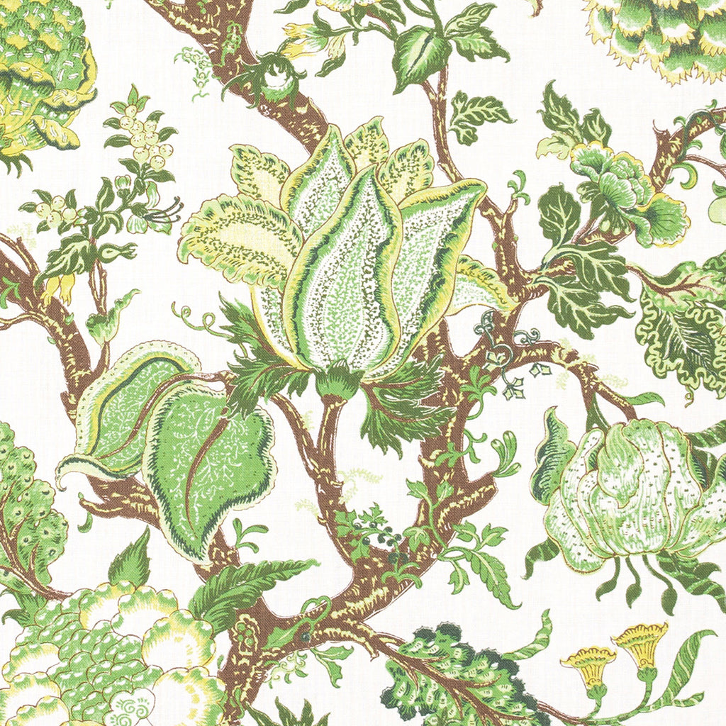 Audrey - Bolzano (Memo)