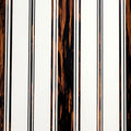 Bosco Branca Stripe - Macassar (Wallpaper Memo)