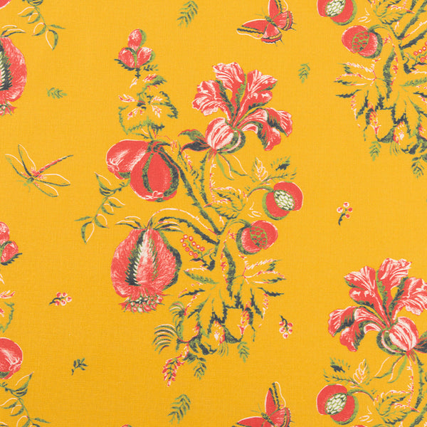 Saffron & Coral