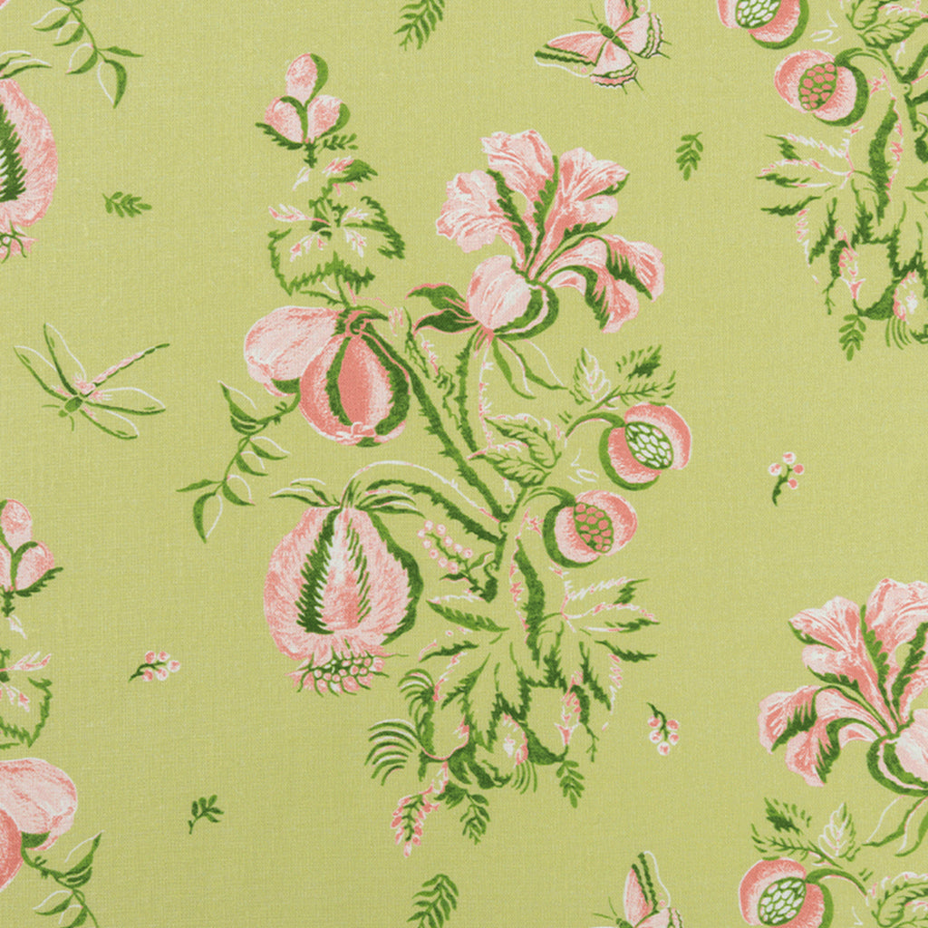 Nantes - Celery & Shell (Memo)