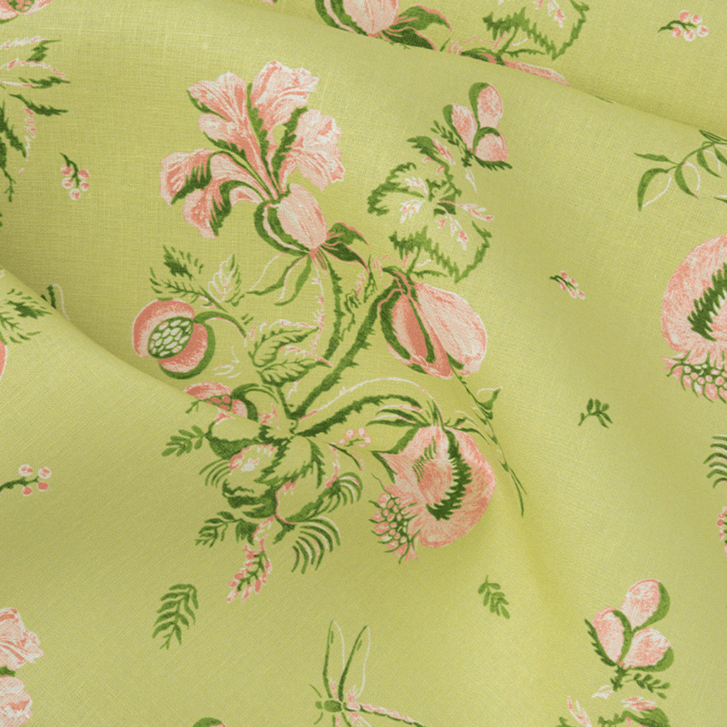 Celery & Shell