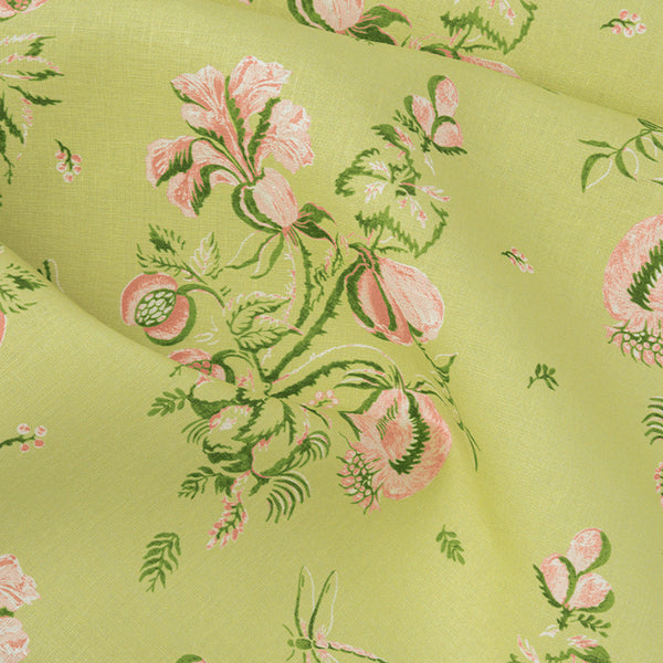 Celery & Shell