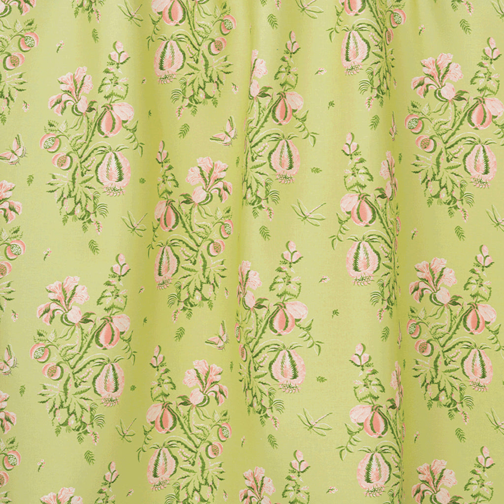 Celery & Shell