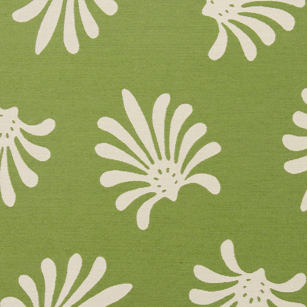 Giardino Palma - Verde (Memo)