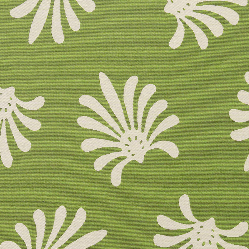 Giardino Palma - Verde (Memo)