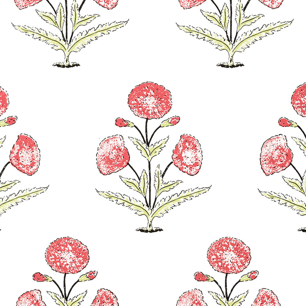 Coral & Celery