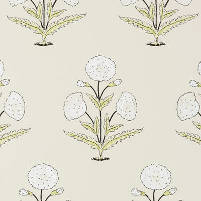 Papavero - Off-White & Celery (Wallpaper Memo)