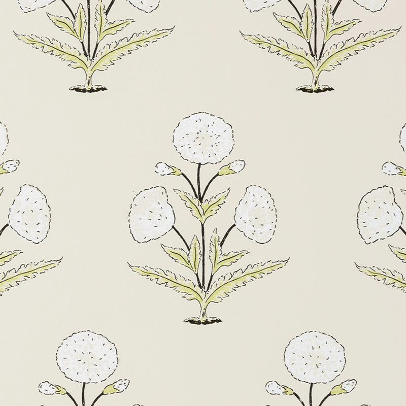 Papavero - Off-White & Celery (Wallpaper Memo)