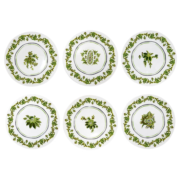Dessert Plate Set (6)