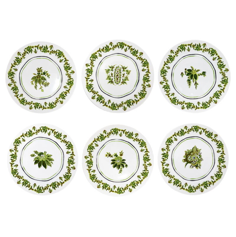 Dessert Plate Set (6)