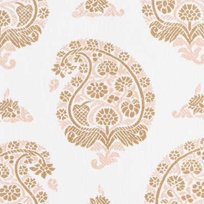 Udaipur - Toast & Shell (Memo)