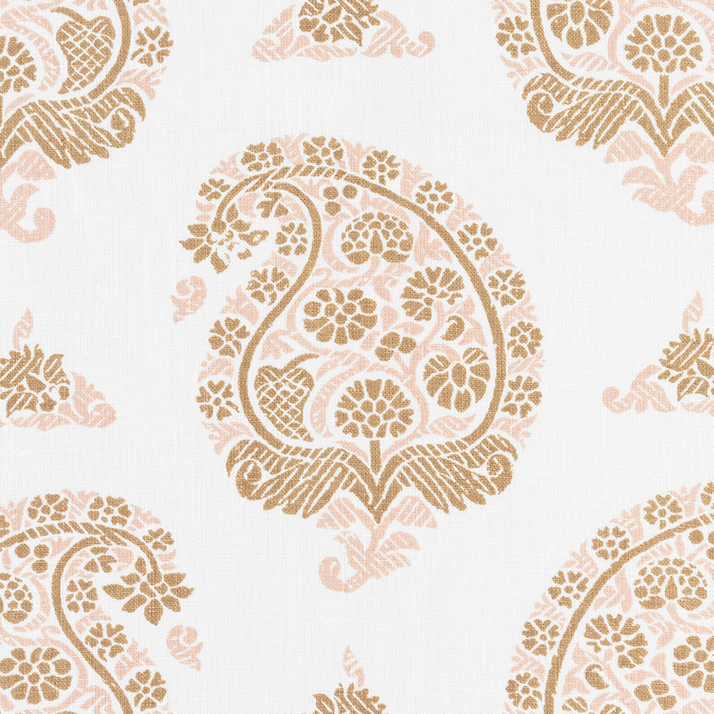 Udaipur - Toast & Shell (Memo)