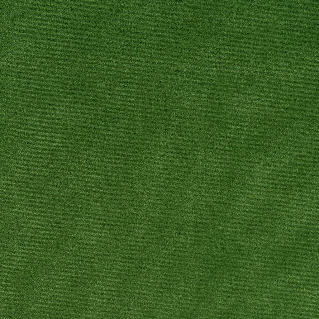 Varese Cotton Velvet - Leaf (Memo)