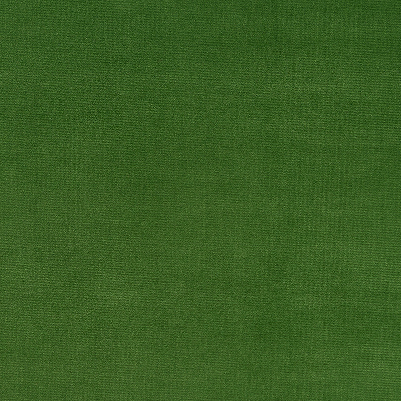 Varese Cotton Velvet - Leaf (Memo)