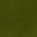Varese Cotton Velvet - Loden (Memo)
