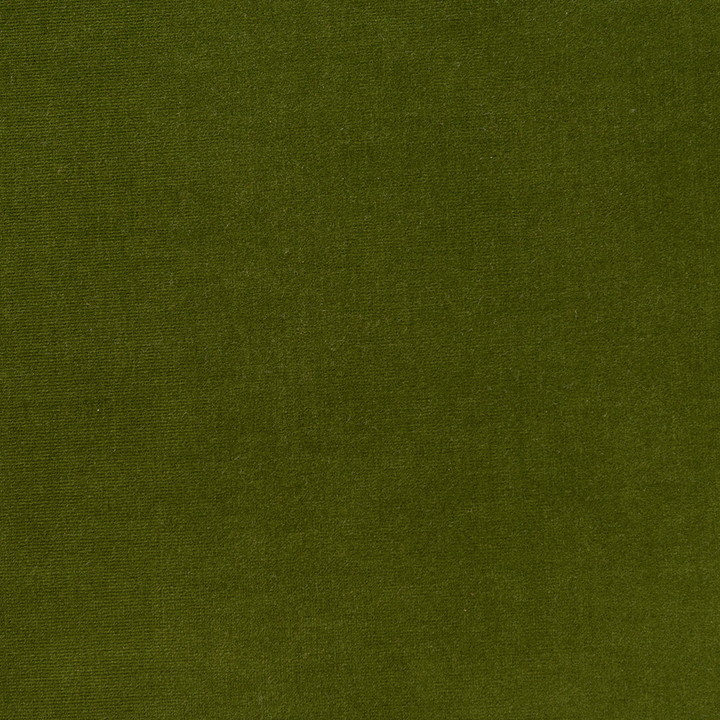 Varese Cotton Velvet - Loden (Memo)