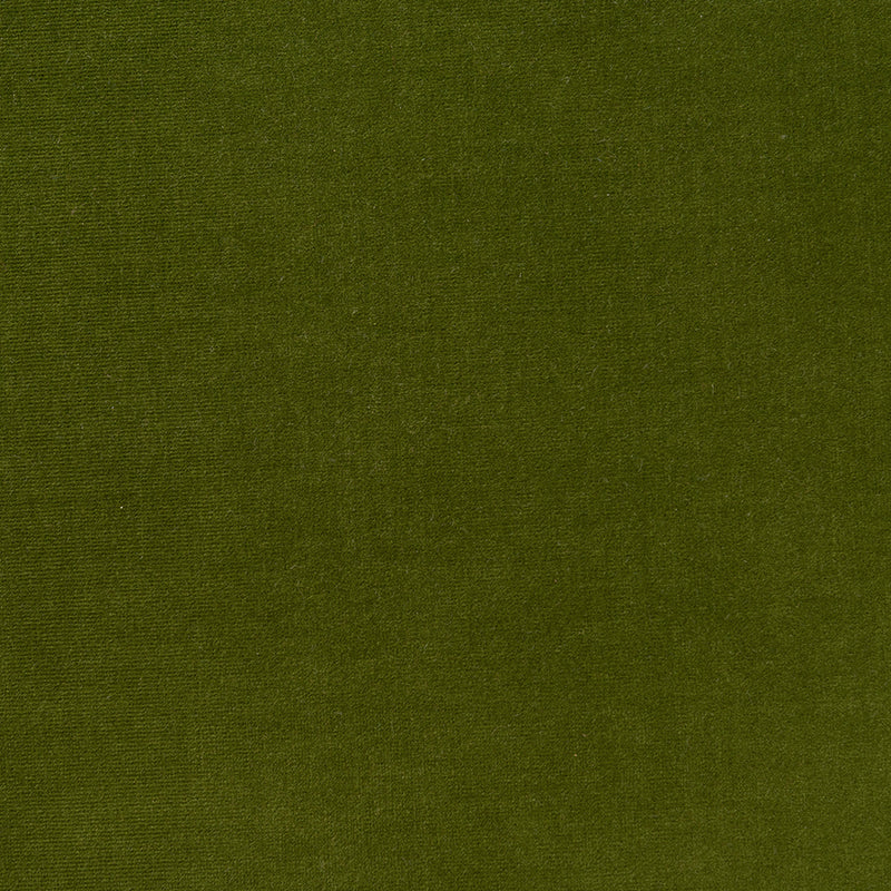 Varese Cotton Velvet - Loden (Memo)