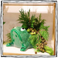 Large Ceramic Frog Cachepot
