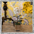 White Bisque Porcelain Hydrangeas in a Square Rattan Cachepot
