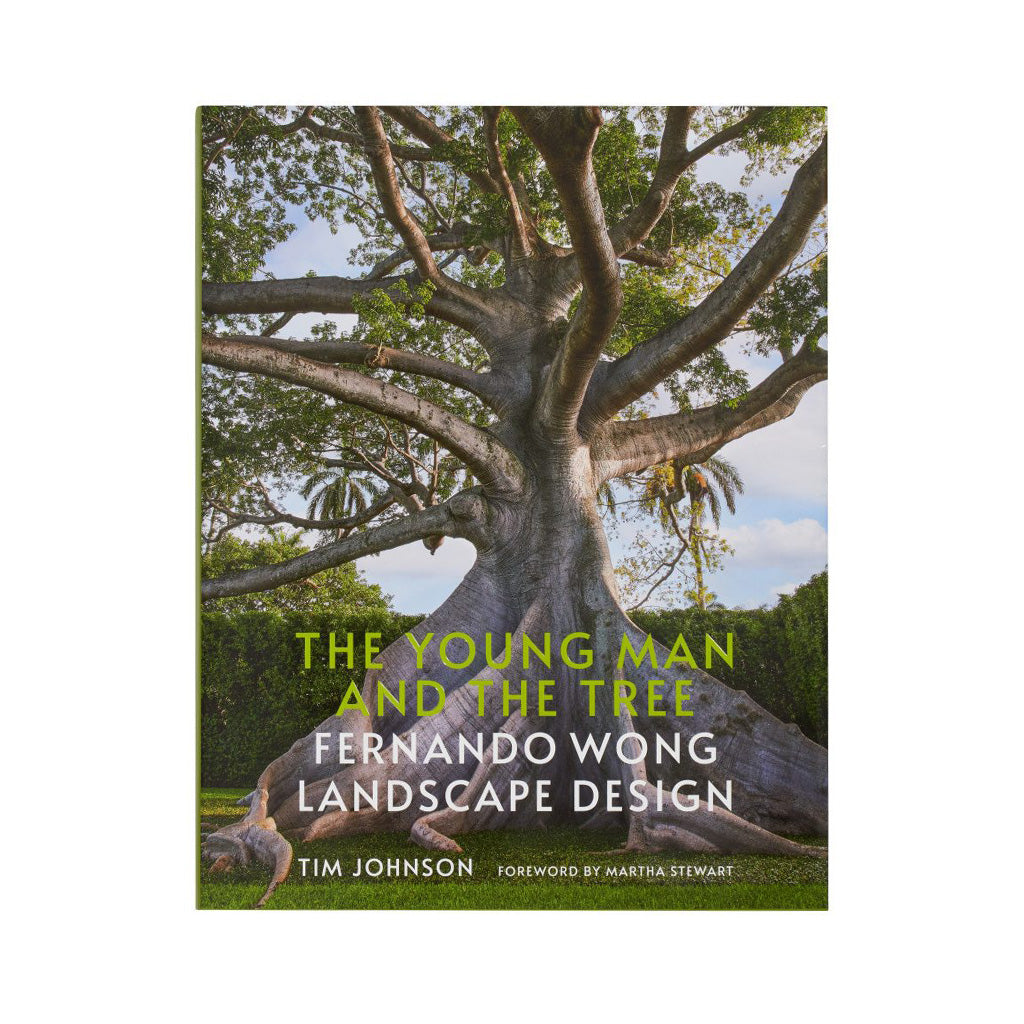 The Young Man and The Tree: Fernando Wong Landscape Design