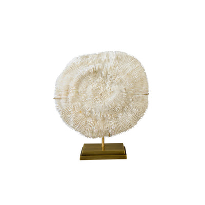 "Bowl" Coral (Halomitra Pileus)