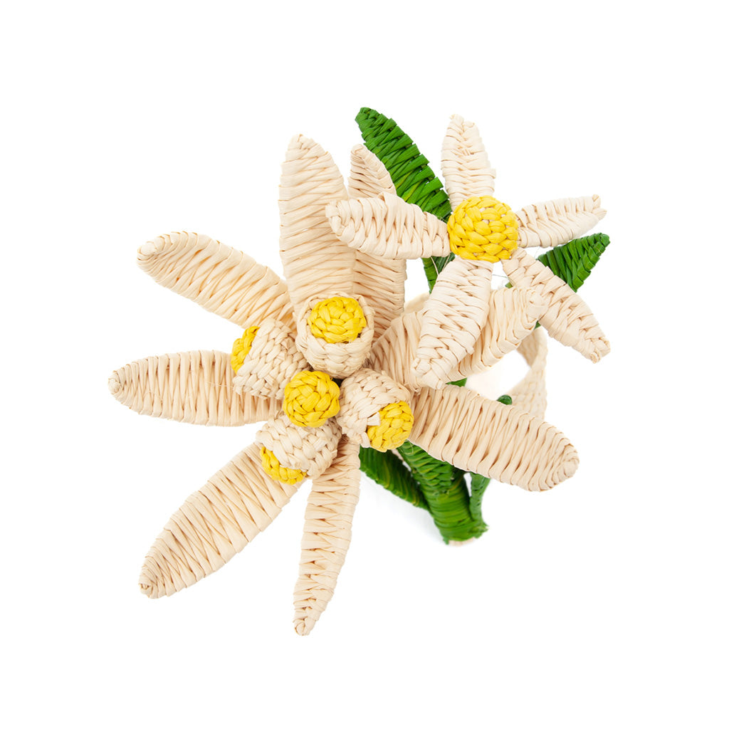 Double Cala Napkin Ring