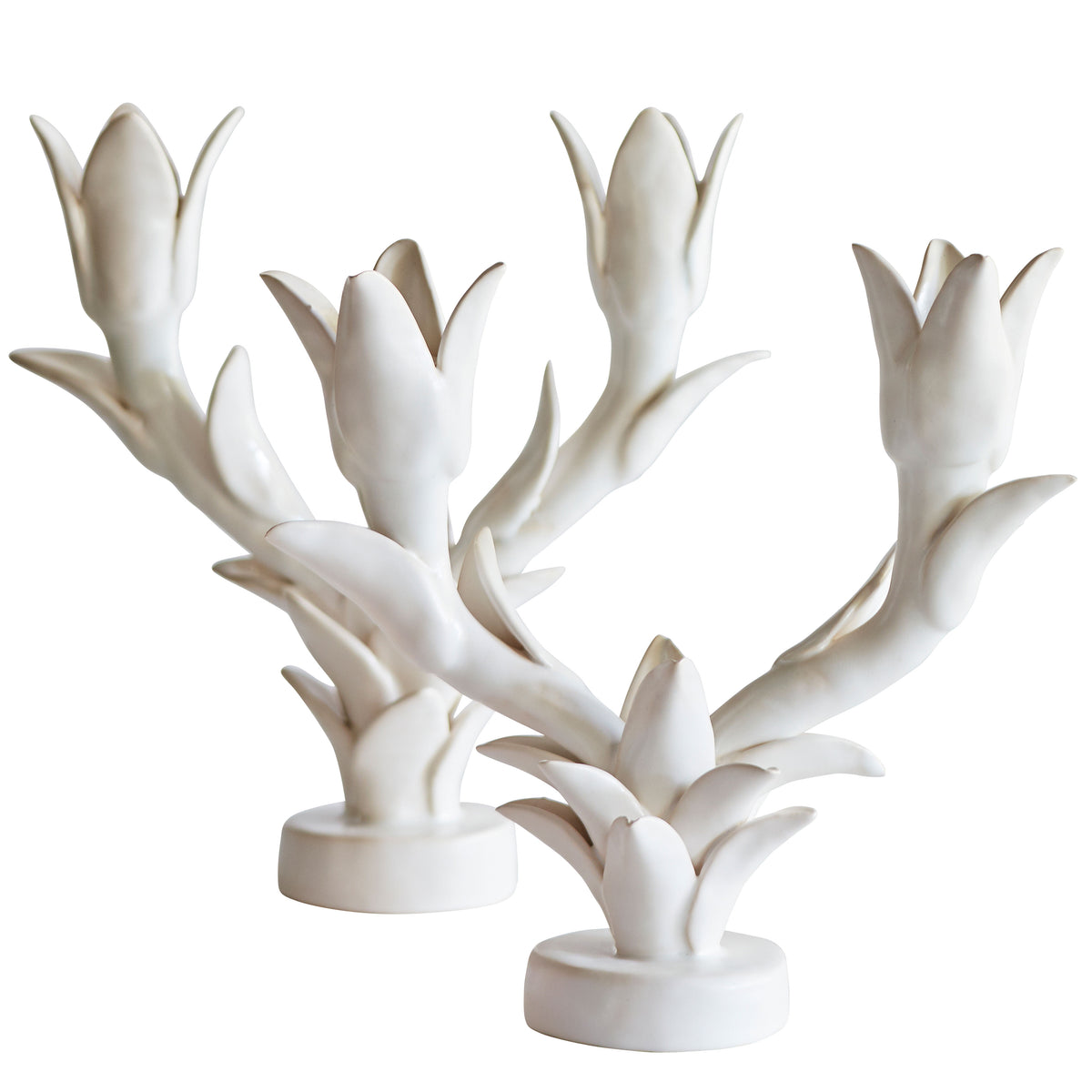 Medium Tulip Candelabra