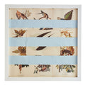 Blue Audubon