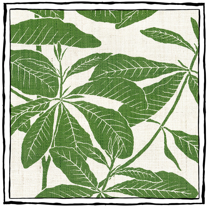 Foglia - Madagascar Leaf (Wallpaper Memo)