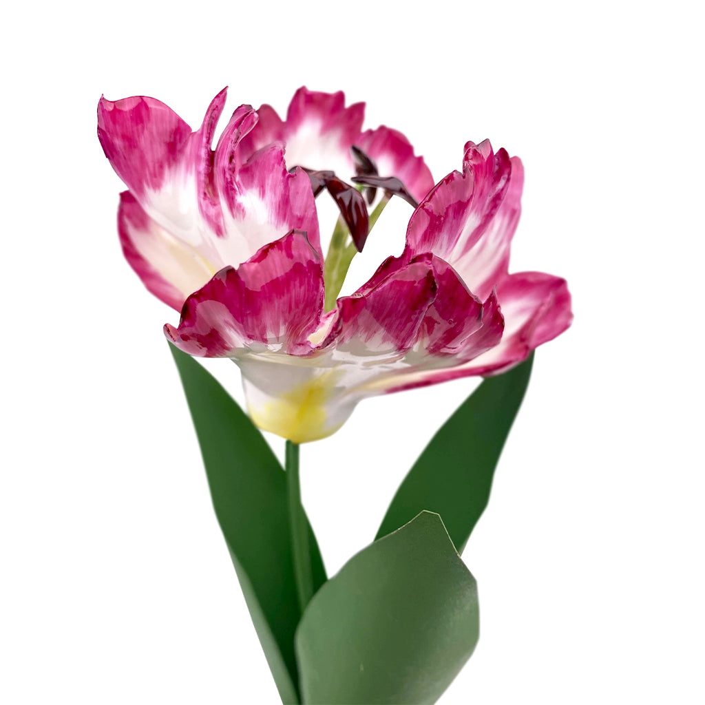 Porcelain Tulip in a Terracotta Pot