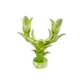 Tulip Candelabra - Victoria Green