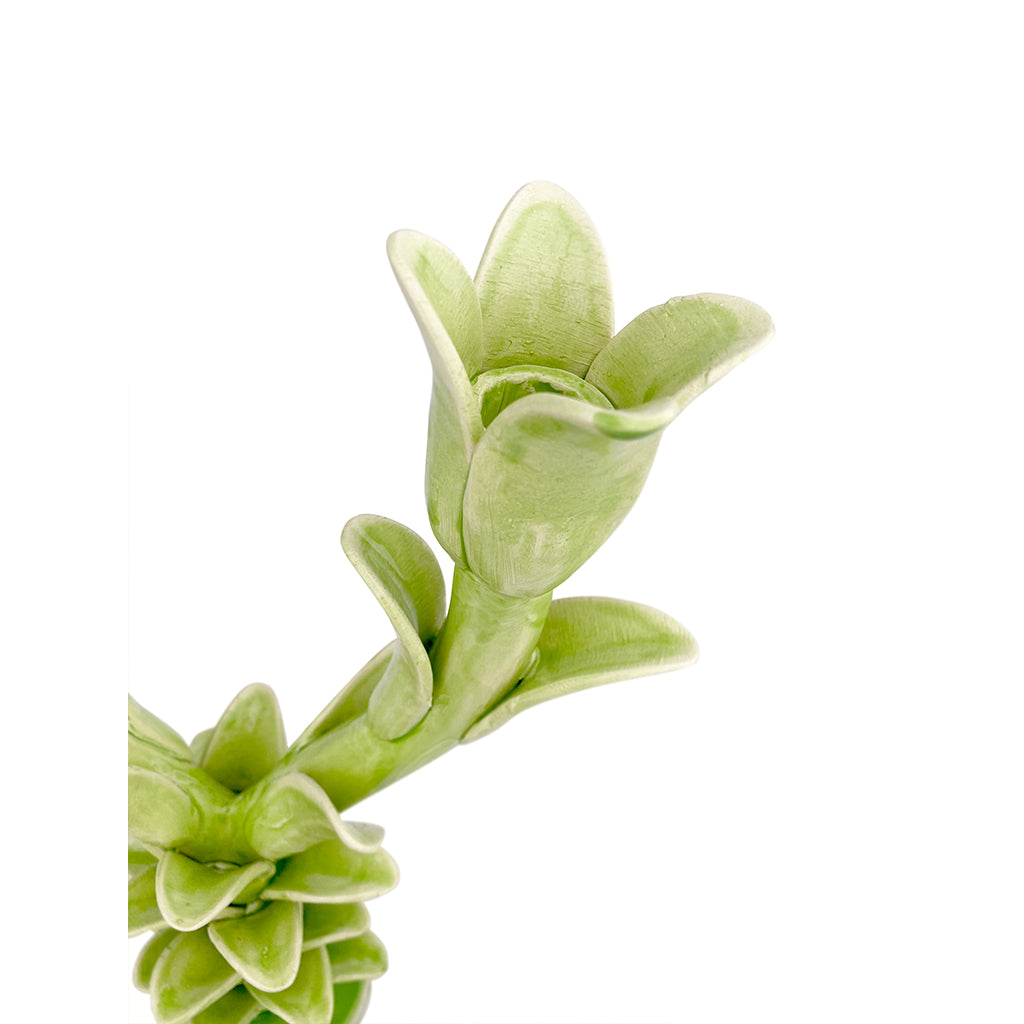 Tulip Candelabra - Victoria Green