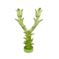 Tulip Candelabra - Victoria Green