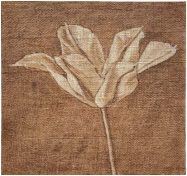 Open Tulip