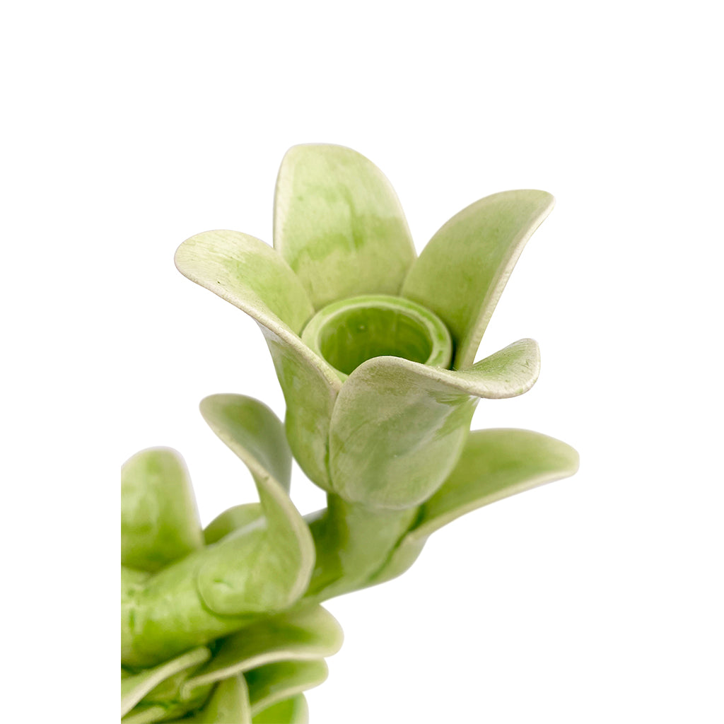 Tulip Candelabra - Victoria Green