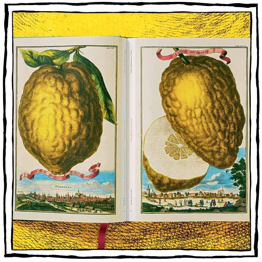 The Book of Citrus Fruits, by JC Volkamer