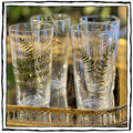 Hand-Painted Fern Water Glasses
