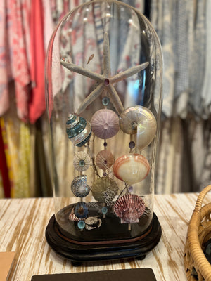 Shell Composition in Oval Dome